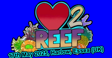 2025 05 17h
